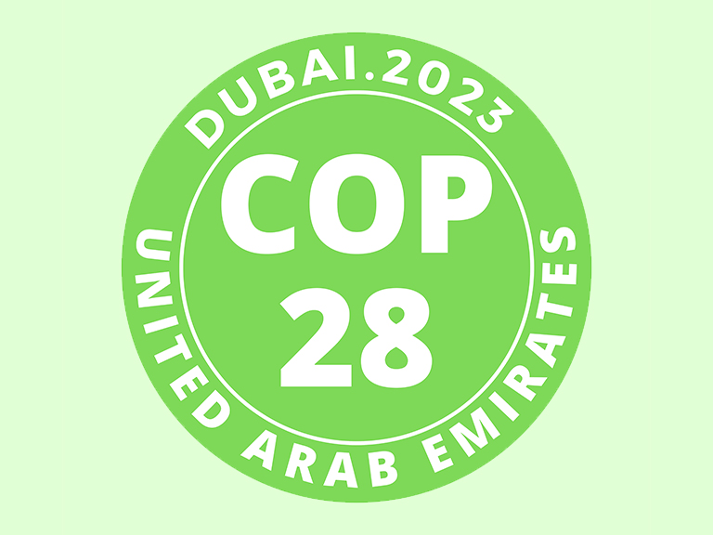 The 28th session of the Conference of the Parties (COP 28) - Mundo Verde  Climate