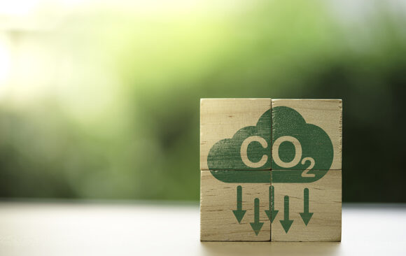 Is It Enough to Just Reduce Carbon Dioxide Emissions?