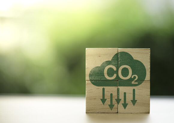 Is It Enough to Just Reduce Carbon Dioxide Emissions?