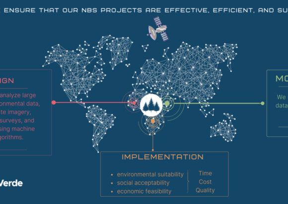 How Do We Ensure That Our NbS Projects Are Effective, Efficient And Sustainable?