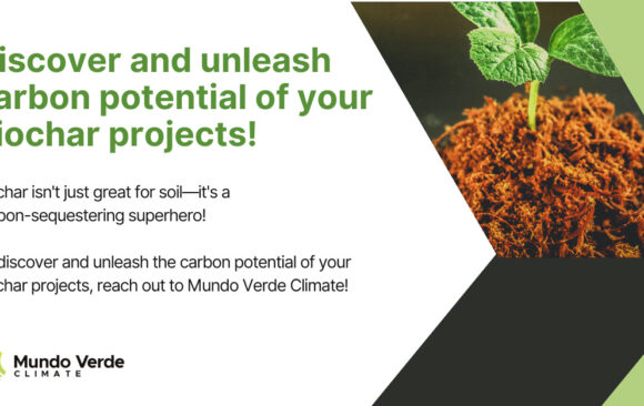 Discover and unleash carbon potential of your biochar projects!